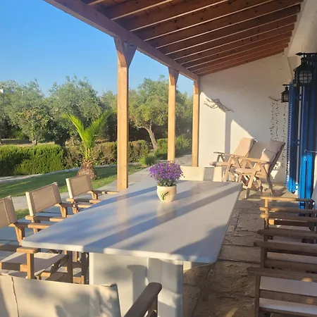 Beachfront House In Olive Grove Vakantiehuis *