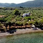 別荘 Beachfront House In Olive Grove