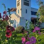 別荘 Beachfront House In Olive Grove Arkítsa