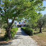 Beachfront House In Olive Grove 別荘 *