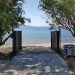 Beachfront House In Olive Grove 別荘 Arkítsa