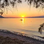 Beachfront House In Olive Grove 別荘 Arkítsa