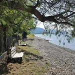 別荘 Beachfront House In Olive Grove *