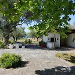 別荘 Beachfront House In Olive Grove
