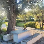 Beachfront House In Olive Grove Arkítsa