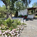 Beachfront House In Olive Grove