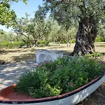 Beachfront House In Olive Grove 別荘 Arkítsa