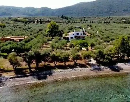 Hébergement de vacances Beachfront House In Olive Grove