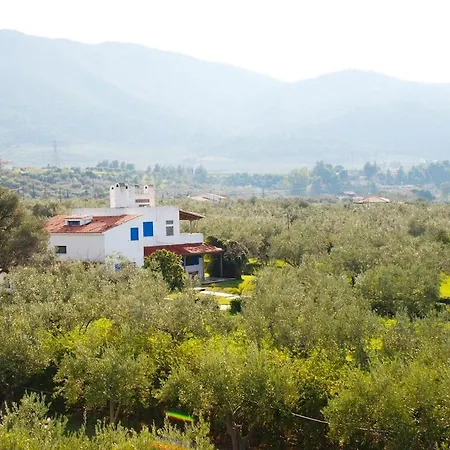 Beachfront House In Olive Grove