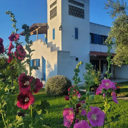 Hébergement de vacances Beachfront House In Olive Grove Arkítsa