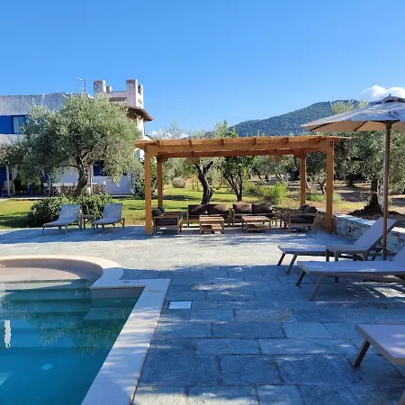 Beachfront House In Olive Grove Holiday home Arkitsa