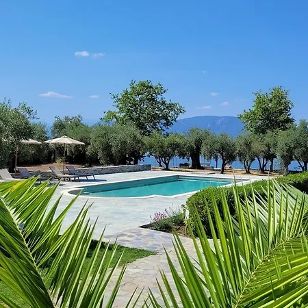 Holiday home Beachfront House In Olive Grove Arkitsa