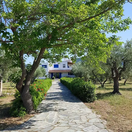 Beachfront House In Olive Grove Hébergement de vacances *