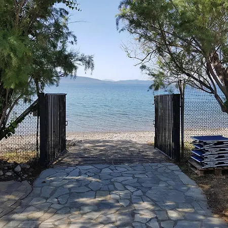 Beachfront House In Olive Grove Hébergement de vacances Arkítsa
