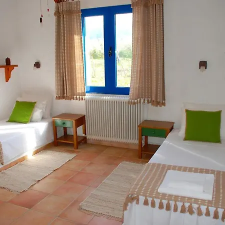 Beachfront House In Olive Grove Holiday home