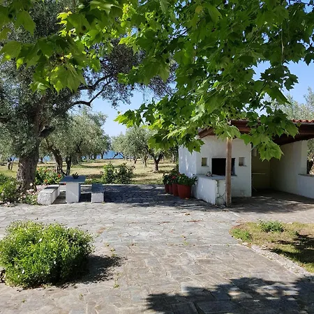 Hébergement de vacances Beachfront House In Olive Grove