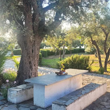 Beachfront House In Olive Grove Arkítsa
