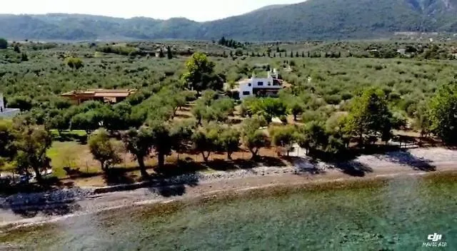 Holiday home Beachfront House In Olive Grove
