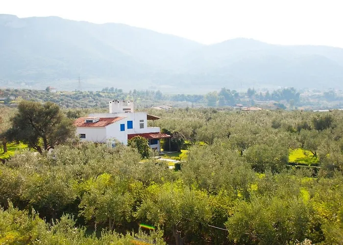 Beachfront House In Olive Grove