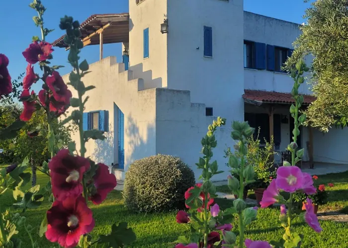 Holiday home Beachfront House In Olive Grove Arkitsa