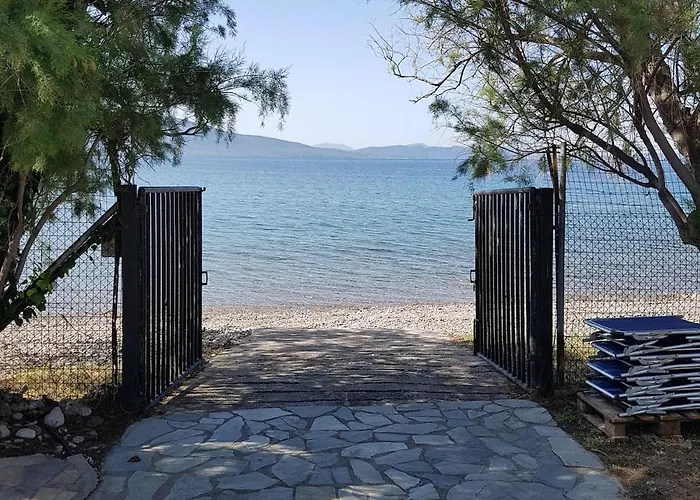 Beachfront House In Olive Grove Holiday home Arkitsa