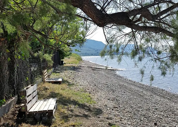 Holiday home Beachfront House In Olive Grove *