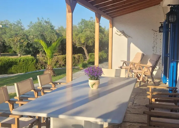 Beachfront House In Olive Grove Holiday home *