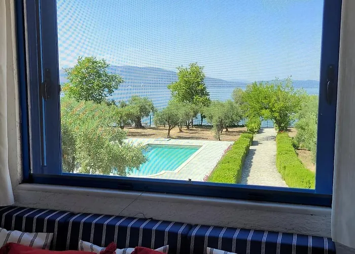 Beachfront House In Olive Grove * Arkitsa