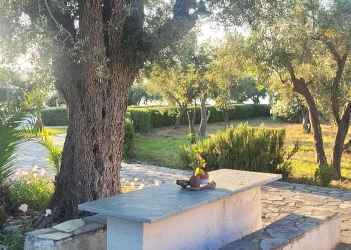 Beachfront House In Olive Grove Arkitsa