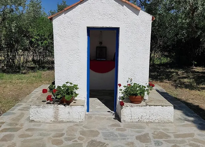Beachfront House In Olive Grove Holiday home