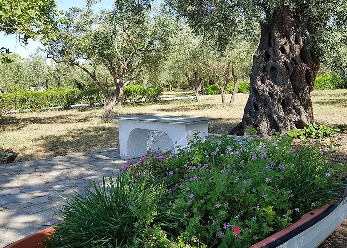 Beachfront House In Olive Grove Holiday home Arkitsa